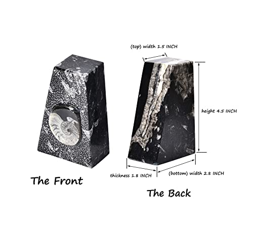 AMOYSTONE 1Pair Decorative Book Ends Natural Orthoceras Fossil Bookends Small 4-5 LBS Trapezoid Morocco Fossil Books Holder Height 4.7" - color: Black & White a, size: 4-5 Lbs