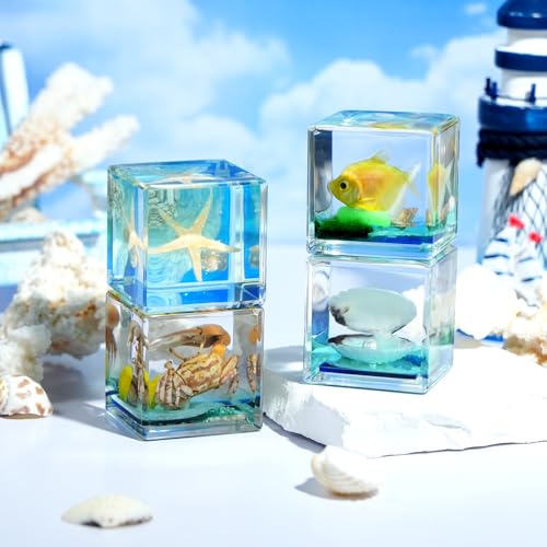 4Pcs Marine Taxidermy in Resin, Interesting Square Marine Microlandscape Specimen Set for Back-to-School Gift Oddities Paperweights Scientific Education Supplies（1.57x1.57 inch） - color: Marine Animals A