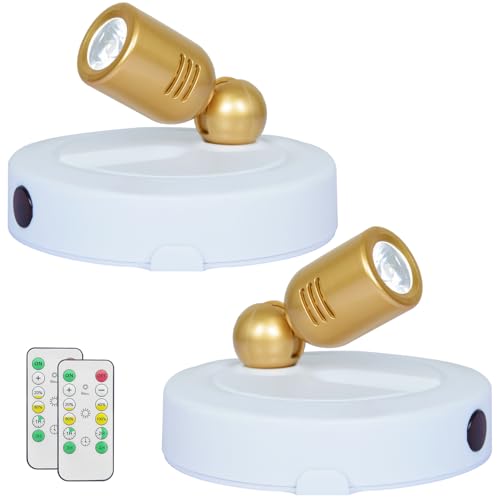 HAMVIDNE LED Spotlight Indoor, Battery Operated Spotlights with Remote, Up Lights for Plants, Dimmable Tree Spotlight, Picture Lights for Wall Art Display Dartboard Painting Artwork Accent Frames - color: White-Gold