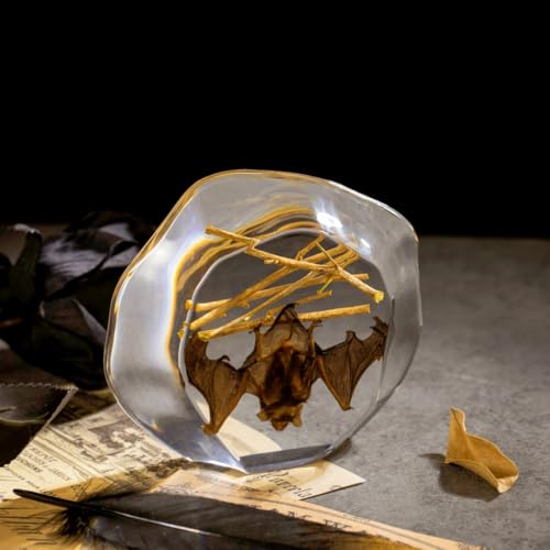Real Hanging Bat Specimen in Resin - Authentic Taxidermy Displaying Natural Behavior, Perfect for Science Education, Oddities Collectors, and Unique Art Decor - color: Inverted Bat Specimen