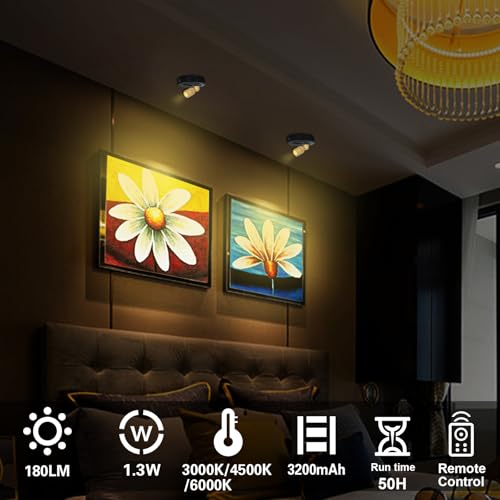 HAMVIDNE Rechargeable LED Spotlight, 3 Lighting Modes Battery Powered Indoor Spotlights with Remote, Uplighting for Trees Plants, Dimmable Timer Picture Spot Light for Wall Artwork-2Pack - color: Rechargeable-Black-G