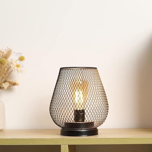 JHY DESIGN Metal Cage LED Lantern Battery Powered Cordless Accent Light with LED Great for Weddings Parties Patio Events for Indoors Outdoors - style: Single bronze egg