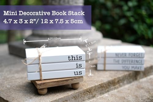 Mini Decorative Books for Tiered Tray Decor - Faux Wooden Books for Coffee Table Decoration - Farmhouse Shelf Decor - This is Us Sign - color: This is Us
