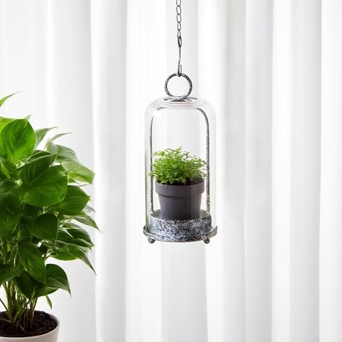 12" High Versatile Modern Metal Hurricane Lantern with Handmade Sturdy Glass Dome in Shabby Black for Pillar Candle & Plants, Industrial, Farmhouse (Black Shabby, 5"x12") - color: Black Shabby, size: 5"x12"