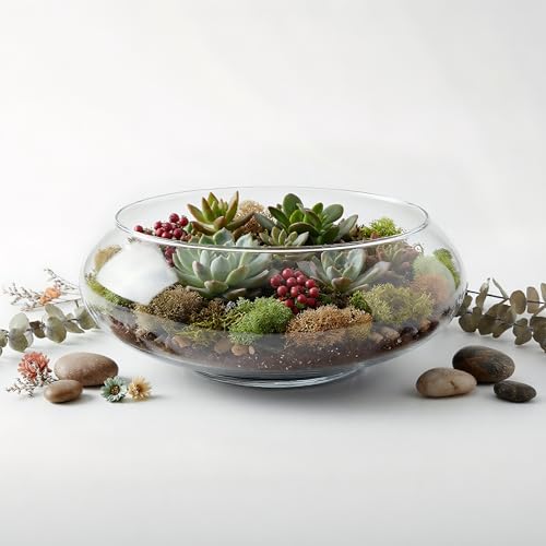 ZENFUN 2 Pack Glass Vase Bowl, 6"/ 8" Wide Mouth Flower Vase Round Terrarium, Glass Hydroponic Planter Floral Container Clear Fish Bowl for Table Centerpiece, Wedding Event, Home Decoration