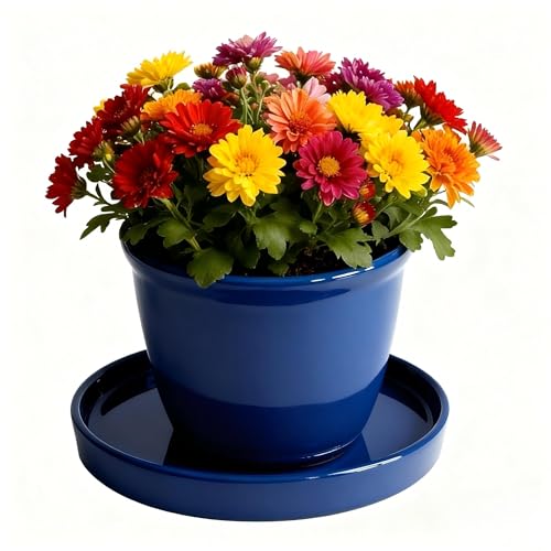 Yukfona Ceramic Plant Saucer Pot Tray 6, 8, 10 Inch Blue, Planter Saucers for Indoors Outdoor, Durable Sturdy Flower Drainage drip Water Tray for Glazed Pots Base - color: Blue, size: 6+8+10in 3pack