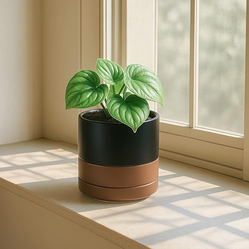 D'vine Dev Set of 2 Plants Pots, 4.7 Inch Ceramic Planter Pot for Plants with Drainage Hole and Saucer, Black/Speckled Tan, 94-V-B-7 - color: Black/Speckled Tan, size: 4.7 Inch