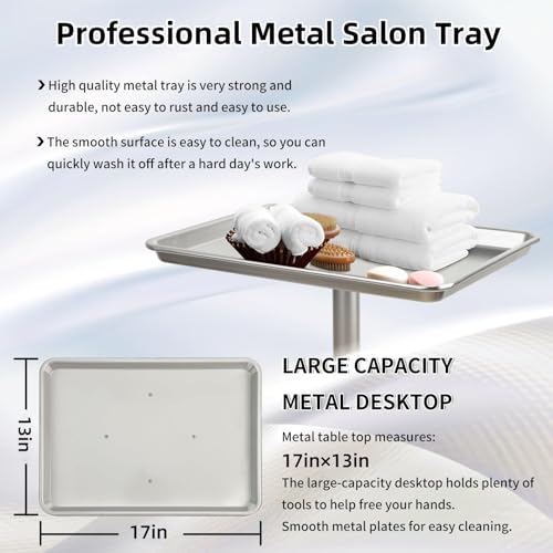 Salon Tray, Salon Color Tray with Adjustable Height, Metal Feet Tray on Wheels, Ideal Use As Tattoo Tray＆Dental Tray - color: Silver