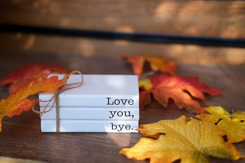 Cute Love You Bye Mini Wooden Faux Books, Express Love and Warm Family Sign for Office Front Door Bathroom Hallway Entryway Shelf Table Corner Decoration - color: Love You Bye