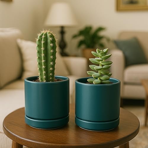 D'vine Dev Set of 4 Small Ceramic Plant Pots, 4.7 Inch Succulent Planter Pot for Plants with Drainage Hole and Saucer, Teal, 94-X-B-9 - color: Teal, size: 4.7 Inch