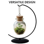 YY YEARCHY Ornament Display Stand Large for Hanging Glass Globe Ball Air Plant Flower Holder Metal Round Decorative (1, Black, 10"x5") - size: 10"x5"