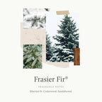 Thymes Frasier Fir Scented Candles for Home Decor - Green Pillar Candles for Women & Men - Place on Candle Holder - Luxury Home Fragrance Gifts - Large (3" x 6" Pillar) - size: 3 in x 6 in