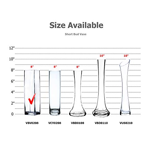 WGV Square Block Bud Vase, Width 2", Height 8", Clear Skinny Narrow Standard Floral Container Centerpiece for Wedding Party Event Home Office Decor, 1 Piece - size: 2"x8"H Block