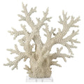 Deco 79 Polystone Coral Decorative Sculpture Home Decor Statue with Clear Acrylic Base, Accent Figurine 21" x 6" x 21", Cream - size: 21" x 6" x 21"