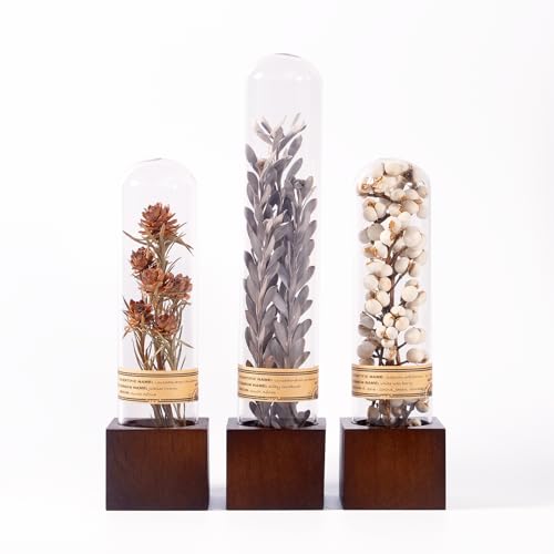 3Pcs Dried Flower Decor,Knick Knacks for Shelves,Cool Stuff for Bookshelf,Small Plants Decor for Office Shelves,Natural Green Plants Boho Shelf Decor,Apothecary Decor,Unique Gifts for Women,Friends - color: Minimalist Neutral Trio,3-piece Set
