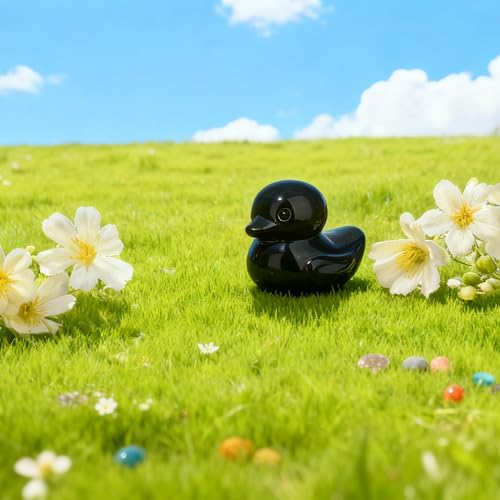 QINJIEJIE Black Obsidian Duck Decor Funny Ducks Crystals Figurine Healing Crystal Cute Animal Statue Decor Duck Gifts Black Desk Office Lucky Decoration Gifts for Him Stocking Stuffers - color: Black Obsidian
