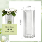 9 inch Tall Ribbed Clear Glass Vase,Flower Vase for Bouquet,Modern Glass Cylinder Vases for Flowers,Decorative Flower Vases for Centerpieces,Living Room,Bathroom,Dining Table,Wedding,Housewarming Gift