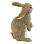 Design Toscano QM200681 Hopper the Bunny Standing Rabbit Indoor/Outdoor Garden Statue, 6 Inches Wide, 11 Inches Tall, Handcast Polyresin, Full Color Finish - style: Hopper