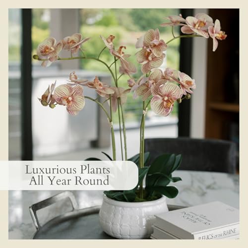 CG Hunter Faux Orange Orchid Plant, Premium Artificial Indoor Flower Display Stands 23”, Beautiful Sculptural Blooms That Lasts Forever, White Planter Pot Included - size: 23" Orange 4-Stem Orchid