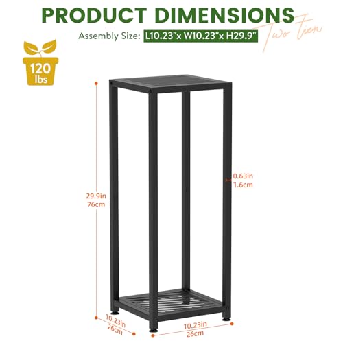 TOSKING Tall Plant Stand Indoor – 2-Tier Modern Metal Shelf, 30" Height & 200 LBS Capacity, Heavy Duty for Living Room, Balcony, Garden (Black) - size: 2-tier 30''