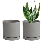 D'vine Dev Set of 2 Plants Pots, 6 Inch Ceramic Planter Pot for Plants with Drainage Hole and Saucer, Speckled Grey, 94-V-C-3 - color: Gray, size: 6 Inch