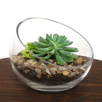 WGV Slant Cut Bowl Glass Vase, Width 11", Height 9.5", Clear Terrarium, Candy Dish, Fruit Jar, Floral Container for Wedding Party Event, Home Office Decor, 1 Piece - size: Slant Bowl 9.5"H