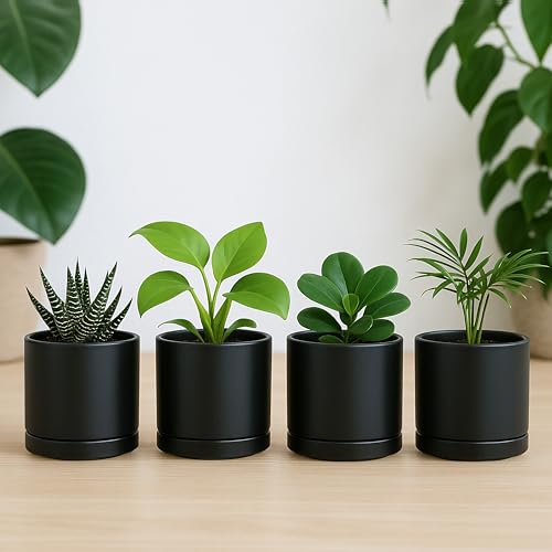 D'vine Dev Set of 4 Small Ceramic Plant Pots, 3.5 Inch Succulent Planter Pot for Plants with Drainage Hole and Saucer, Black, 94-X-A-2 - color: Black, size: 3.5 Inch
