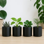 D'vine Dev Set of 4 Small Ceramic Plant Pots, 3.5 Inch Succulent Planter Pot for Plants with Drainage Hole and Saucer, Black, 94-X-A-2 - color: Black, size: 3.5 Inch