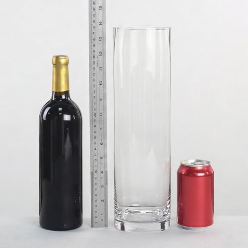 CYS Excel (H:16” D:4”) Tall Clear Glass Cylinder Vase | Multiple Size Choices Glass Flower Vase Centerpieces | Tall Hurricane Floating Candle Holder - size: H-16" D-4"