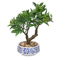 Artificial Bonsai Tree, Small Bay Laurel Bonsais Tree 13" Indoor Bonsai Trees Fake Potted Plant Decorative Fake Desk Plant Decor with Blue & White Ceramic Pot for Home Office Living Room Table Shelf - style: Modern