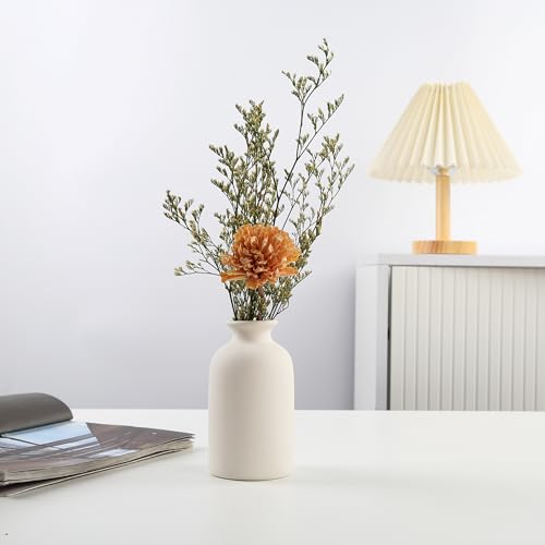 Beige Small Ceramic Vase, Dry Flower Vases Minimalism Style for Modern Table Shelf Home Decor, Fit for Fireplace Bedroom Kitchen Living Room Centerpieces Office Desk Gift(S Beige) - color: Beige, size: Small