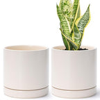 D'vine Dev Set of 2 Plants Pots, 6.5 Inch Ceramic Planter Pot for Plants with Drainage Hole and Saucer, Oatmeal, 94-V-C-8 - color: Oatmeal, size: 6 Inch