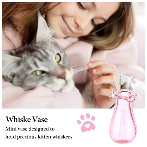 Ymapinc 4Pcs Glass Cat Whiskers Holder Tiny Vases for Flowers, Cute Miniature Jars, Small Decoration for Dollhouse DIY Plant Decor - color: Clear+black+pink+purple