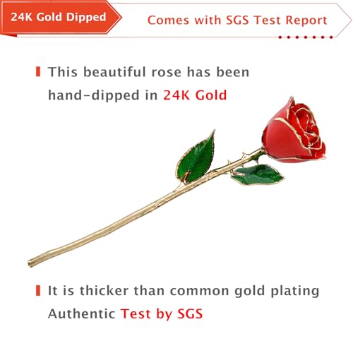 AliveRose Valentines Day Gift for Her Roses, Unique Design Gold Dipped Rose for Anniversary Valentines Mothers Day Birthday Gifts (Red Handmade with Crystal Vase) - color: A0. Red Handmade Rose White Crystal Vase