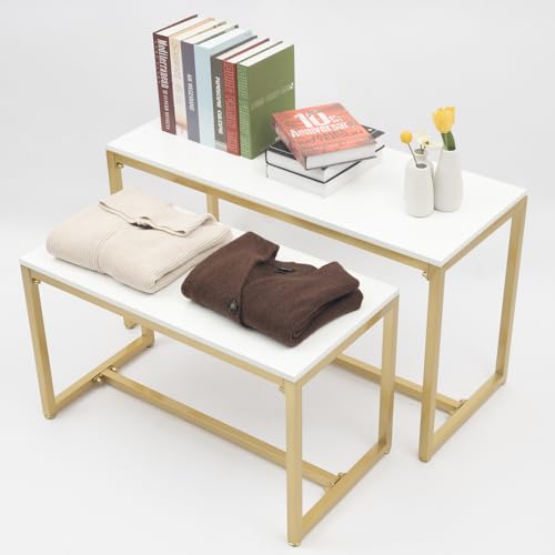 DYRABREST 2 Pieces Modern Nesting Table Metal Side Table End Table Retail Stores Display Stand Shoe Handbag Storage Display Riser Shelf for Home, Living Room, Commercial Decor