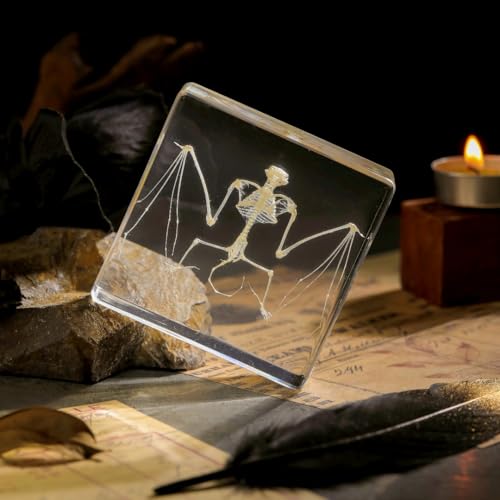 Real Bat Skeleton Specimen in Resin - Authentic Bat Bones for Science Education, Biology Study, Oddities Collectors, and Unique Decor - color: Bat Skeleton Specimen