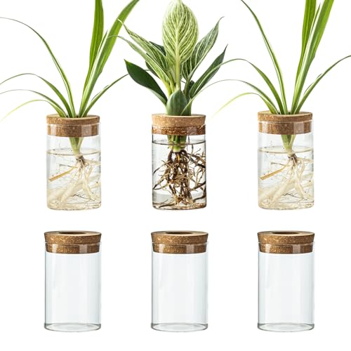 Snminetal Glass Plant Propagation Station Set of 6, Modern Desktop Flower Vase for Succulent Cuttings, Home Office Decoration, Ideal Housewarming Gift for Living Room, Bedroom