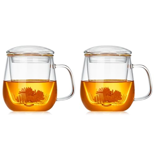 DOPUDO Glass Teacups 2 Pack Glass Tea Cup with Infuser and Lid, 17.6oz/520ml Large Borosilicate Teacup,Tea Clear Mug Cup for Loose Leaf Blooming Tea, Microwave & Dishwasher Safe. - size: 2 Count (Pack of 1)