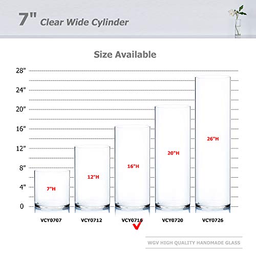 WGV Cylinder Vase, Width 7", Height 16", Clear Wide Large Diameter Flower Glassware, Floral Container, Planter Terrarium for Wedding Party Event, Home Accent Decor, 1 Piece - size: 7"x16"H