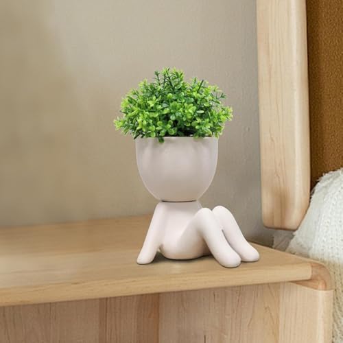 Zerzsy Fake Plants Artificial Succulents Plants for Room Bathroom Home Office Desk Accessories Decor - Set of 1 - color: Khaki-b