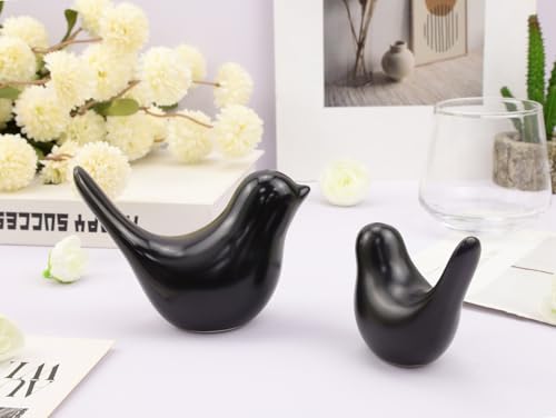 LAIDANLA Small Birds Statues Black Modern Style Home Decor Birds Small Animal Sculpture for Living Room Office Desktop Shelf Coffee Table Bedroom（2pcs） - color: B-black