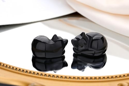 QINJIEJIE Black Obsidian Cat Decor Crystals and Healing Stones Figurine Sleeping Cats Stone Statue Gift Carved Gemstones Sculpture Office Home Desk Kitten Cute Cat Decor for Men Stocking Stuffers - color: A-black-glossy Obsidian, size: 1.5 inches