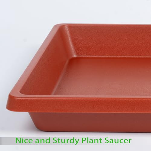 Plant Saucer 12 Inch Square 2 Pack, Plastic Plant Drip Trays, Plant Saucers for Indoors and Outdoors, Flower Pot Saucers, Saucers for Potted Plants, Planter Saucer, Plant Water Catcher Trays for Pots - color: Terra Cotta, size: 12"(2Pack)