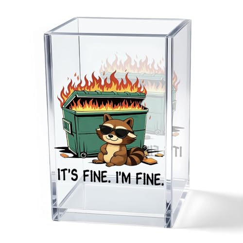 It's Fine I'm Fine Acrylic Cosmetic Pencil Pen Holder Cup, Funny Raccoon Dumpster Fire Pen Holder Cup, Raccoon Lover Gifts for Women Men, Office Sarcastic Gifts for Women Men Colleague Boss - style: It's Fine D