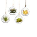 Hanging Glass Candle Holder, Globe Tea Light Holder, Hanging Vase, Flower Plants Terrarium, Glass Orbs Container, Micro Landscape DIY for Home, Office, Wedding (4" 4Pcs) - color: 4" 4pcs