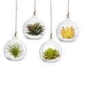 Hanging Glass Candle Holder, Globe Tea Light Holder, Hanging Vase, Flower Plants Terrarium, Glass Orbs Container, Micro Landscape DIY for Home, Office, Wedding (4" 4Pcs) - color: 4" 4pcs