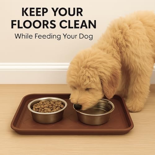 2 Pack Boot Tray & Shoe Mat for Entryway – 16.5" x 12.5" Floor Protector for Wet & Muddy Shoes, Pets, Plants – Waterproof Plastic with Raised Edge for Indoor/Outdoor Use (Brown) - color: Brown