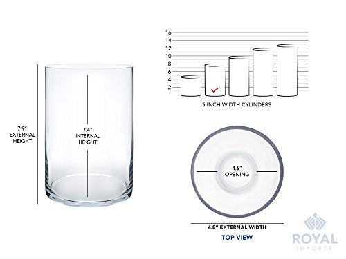 Royal Imports Flower Glass Vase Decorative Centerpiece for Home or Wedding - Cylinder Shape, 8" Tall, 5" Opening, Clear - size: 5" wide x 8" tall