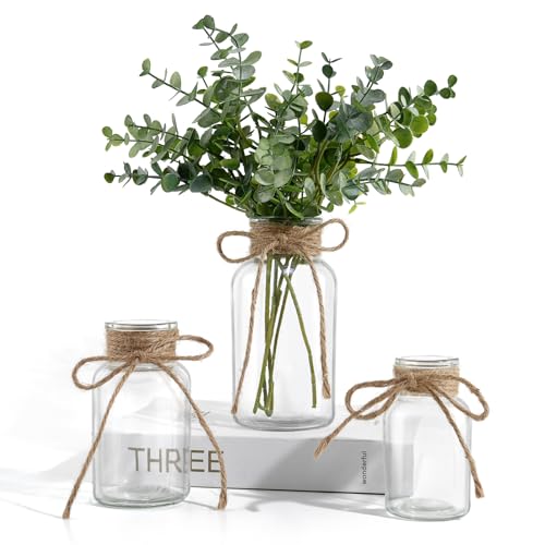 Vintage Glass Vases for Flowers, Set of 3 Clear Vases for Farmhouse Wedding Centerpiece Cylinder Bottle for Reception Table Decor Housewarming Birthday Floral Arrangements (S+M+L) - color: Clear, size: Large+Medium+Small-3Pcs