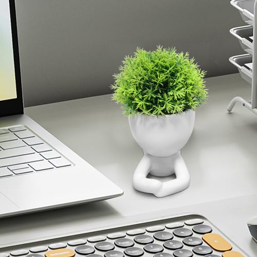 Zerzsy Mini Succulent Plant - Plants Gift - Cute Desktop Decoration Desk Decorations for Women Office -Small Plants Shelf Decor-Cute Cubicle Accessories-Set of 1 - color: White-g